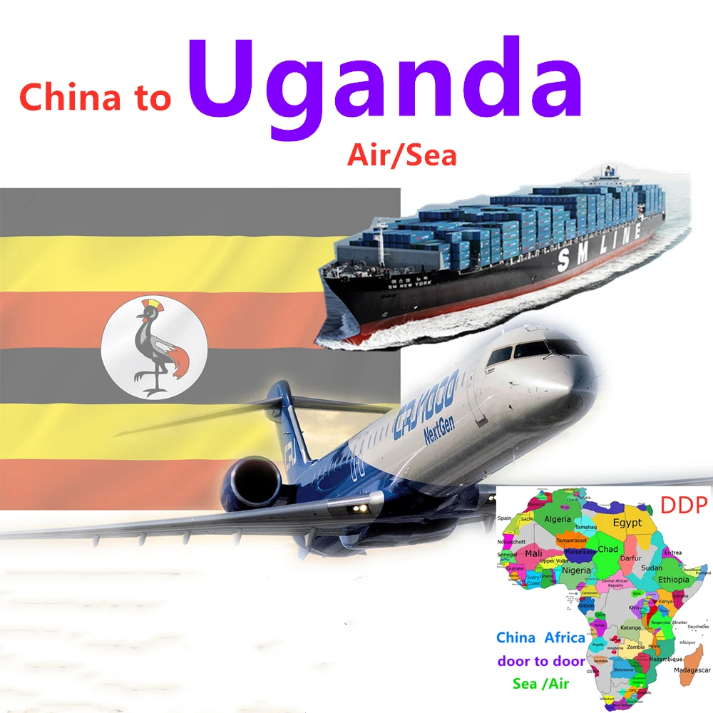 Economical Logistics Agent DHL Shipping Rates From China To Uganda/Afghanistan/Saudi Arabia Drop Shipping