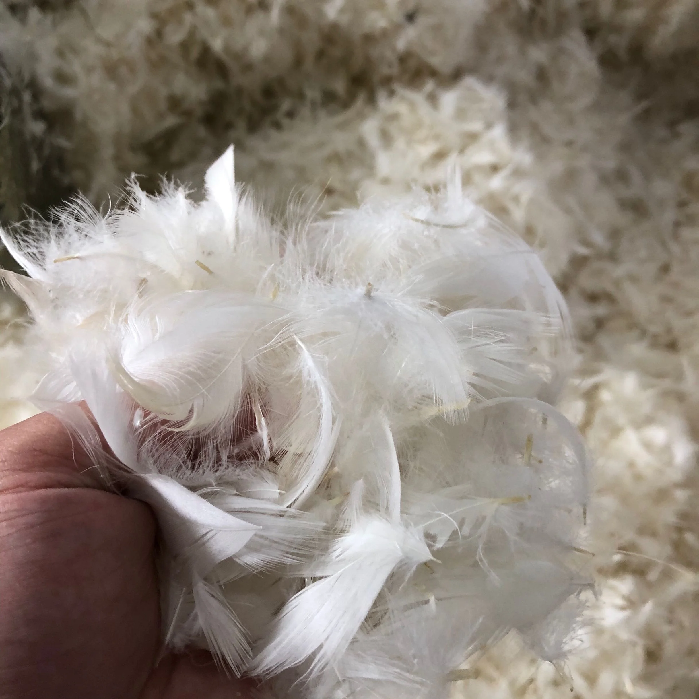 Luxury Custom Size Synthetic Down Bed Pillow Insert Hotel Throw Sofa Cushion Couch with Cartoon Cover