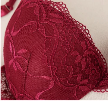 Low Price Women Fashion 2 Piece Solid sexy Transparent Lace Underwire bras Push Up Underwear Panty Bra Brief Set