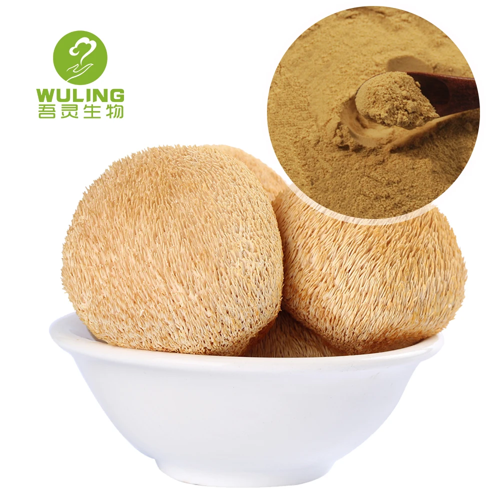 Травяные добавки, экстракт грибов Львиной гривы, порошок, Органическая жидкость грибов Львиной гривы