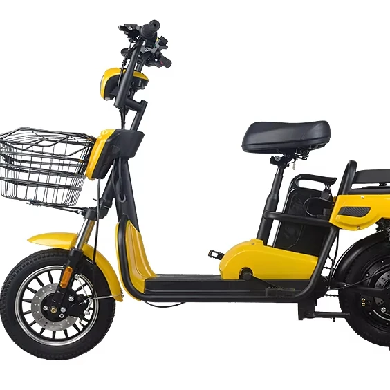 14-Inch High Carbon Steel Frame Electric City Bike with Front/Rear Disc Brake 48V/350W Brushless Motor Delivery Services