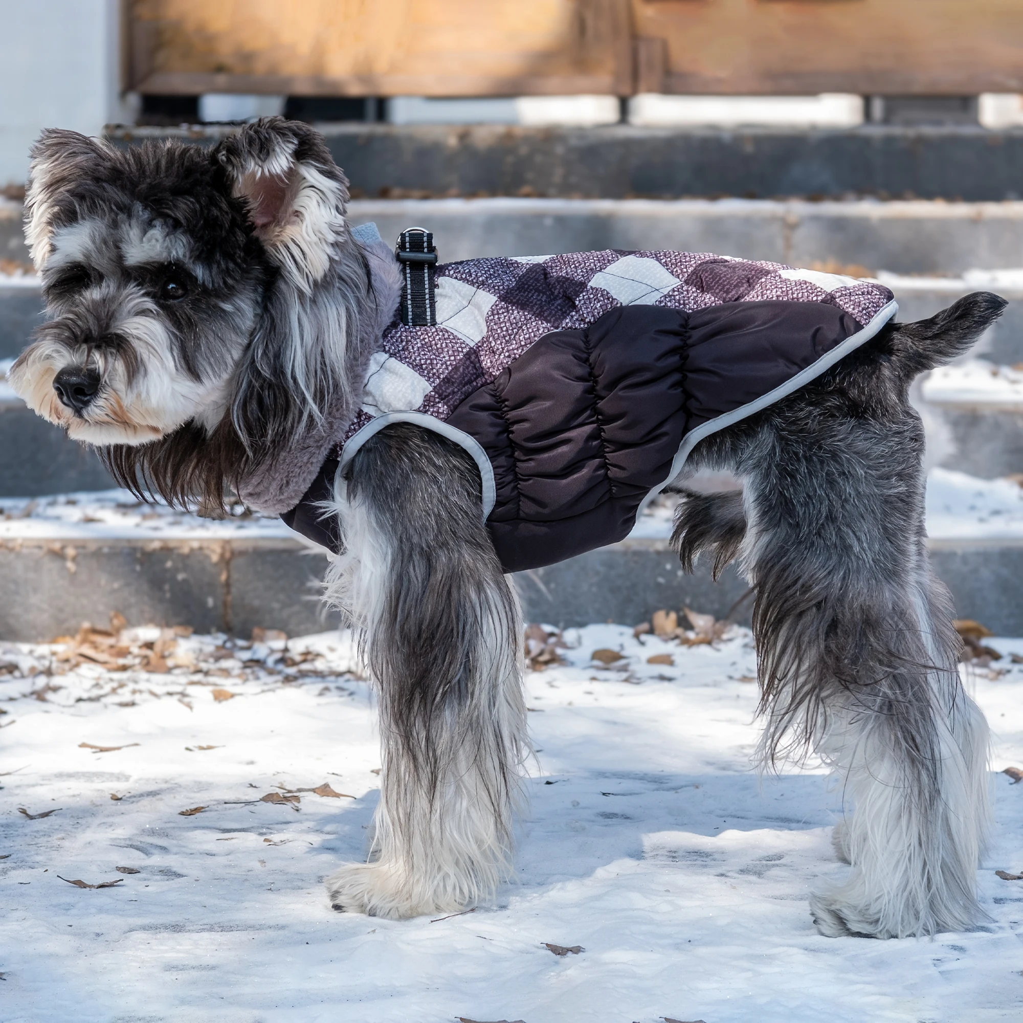 CuteBone New Fashion Design  black and white  Pet Clothing Warm  Dog Coat Jacket Windproof Pet Dog Coat