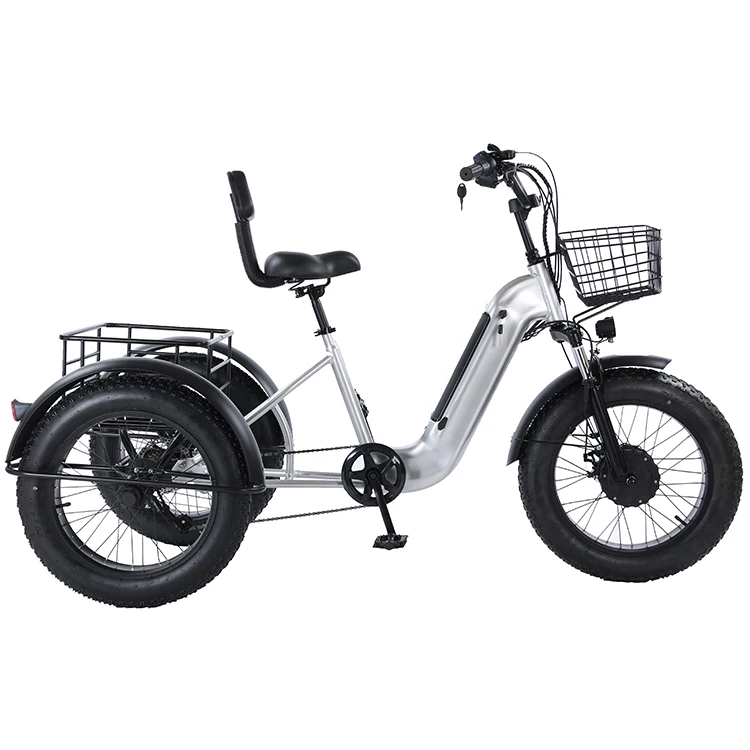 Safe and fast delivery 20 Inch  750W Motor Fat Tire 3 Wheel E Bike Tricycle  Adult Cargo Electric Bike With Basket