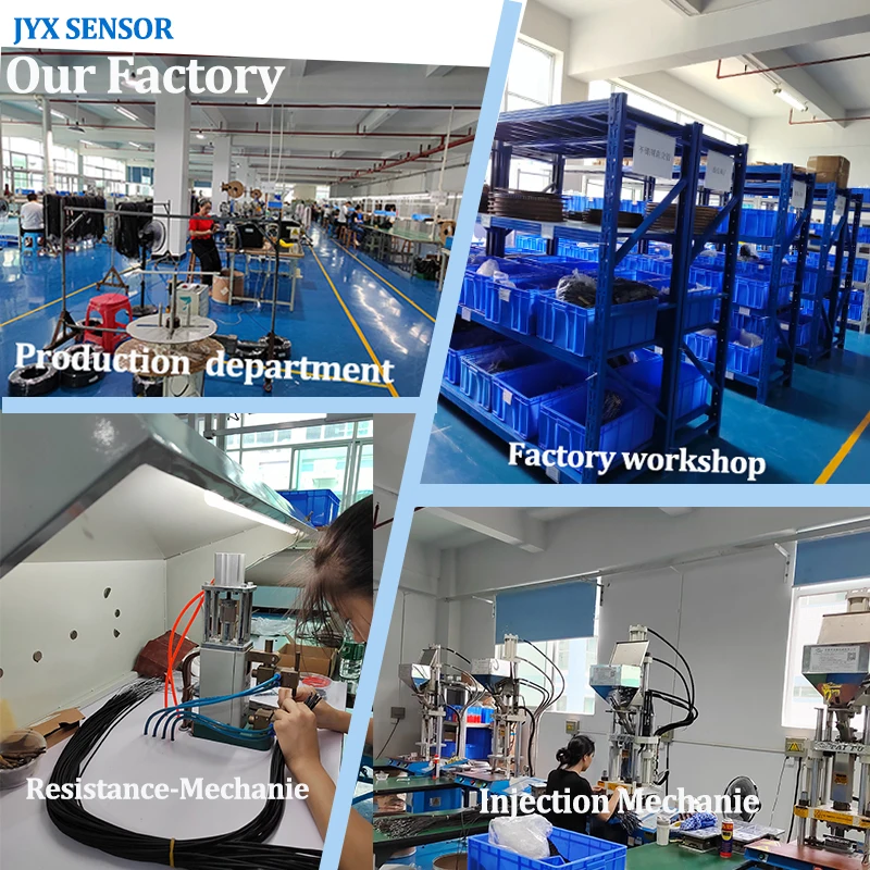 Tube 3*30mm 3wire class B PT100 RTD PT1000 Temperature Sensor  2.5m