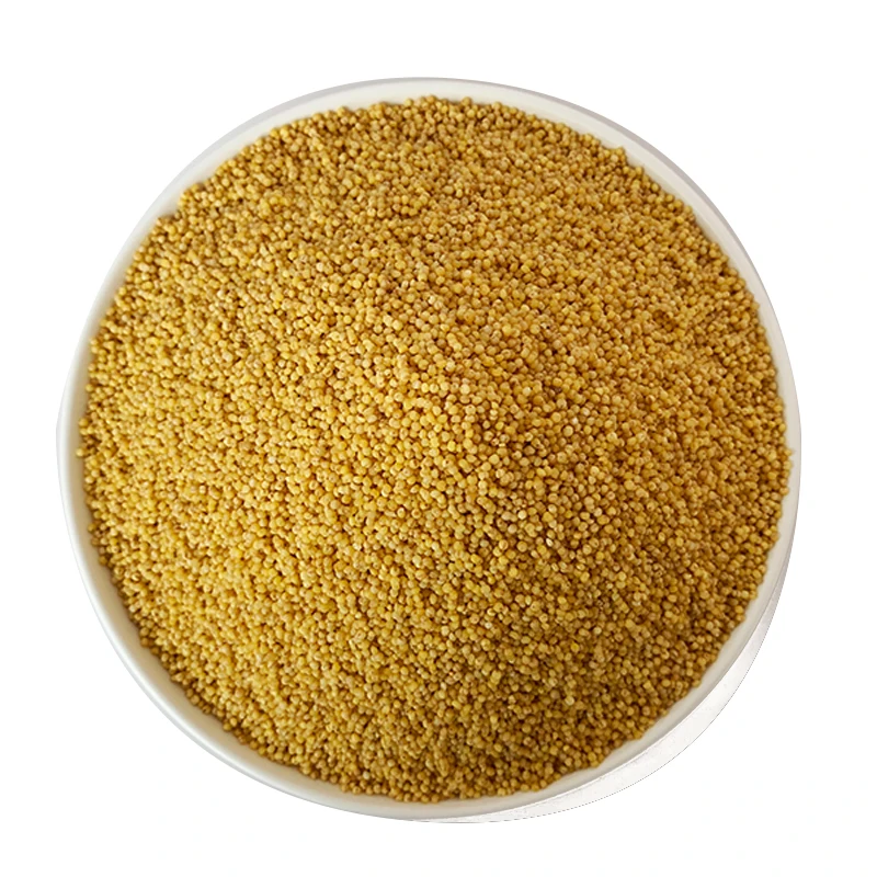 Top grade high quality yellow millet natural food