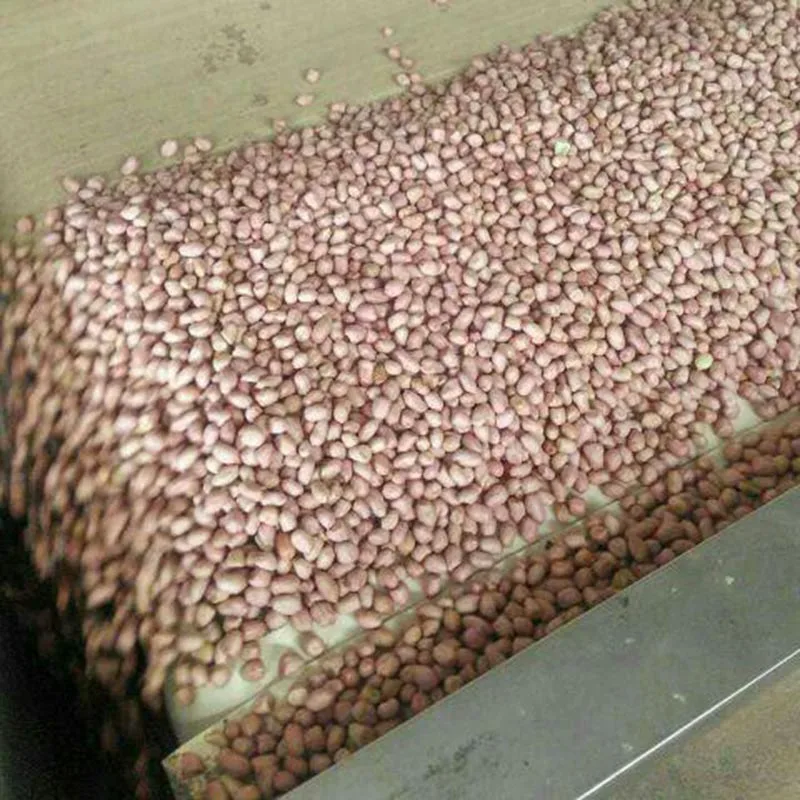 High Quality 100% Natural Peanuts without Shell Superior Product Category