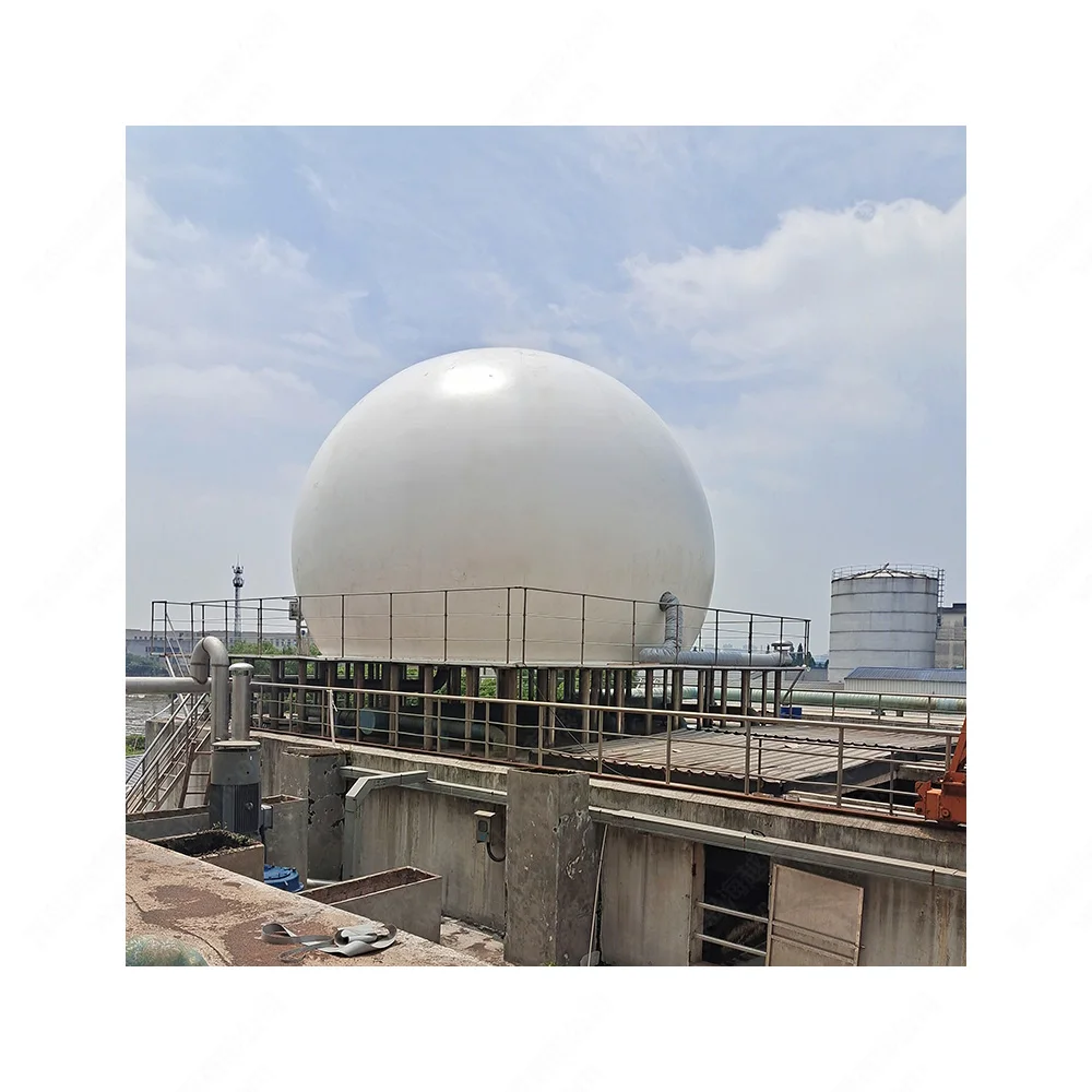 Double Membrane Biogas Holder, Biogas Storage Tank, automatic control system biogas cooker for customizing