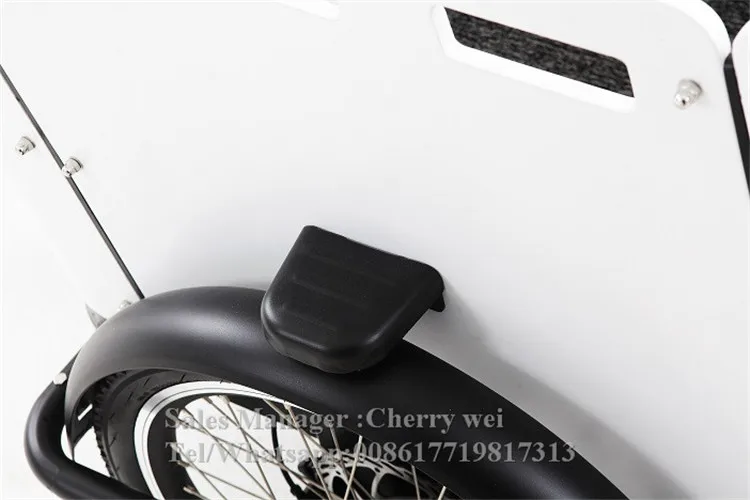 China Loading 200kg cargo bike pickup truck crane three wheel cargo tricycle for sale in philippines malaysia