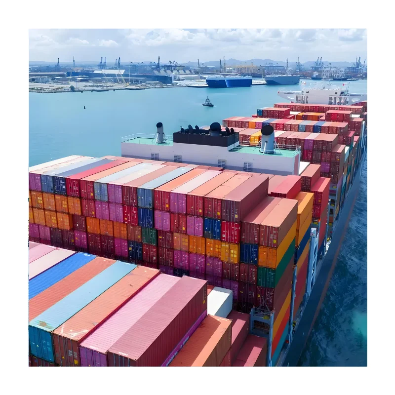 China To Usa Professional Sea Shipping Ddp Door To Door Service Cheapest Cost