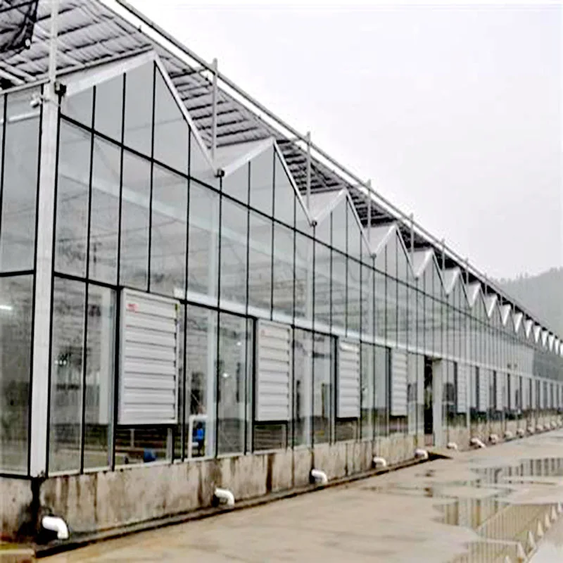 Горячая Распродажа дешевая многопролетная стеклянная теплица venlo автомобильная вентиляция