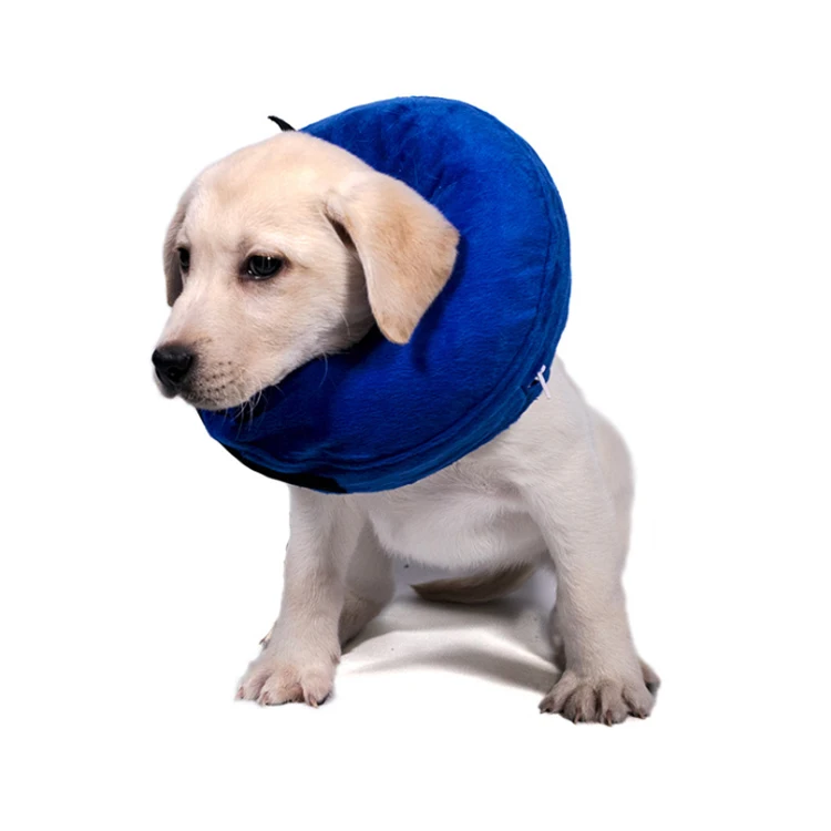 Amazon сохраняет тепло и мягкий ПВХ одежда надувной ошейник для собак