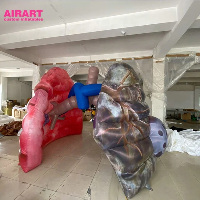 Giant PVC Inflatable Medical Lungs with Lung Tube Model