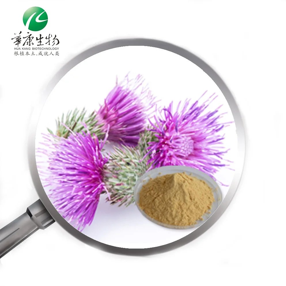 Water soluble Milk Thistle Extract powder from 40%  or 80% silymarin