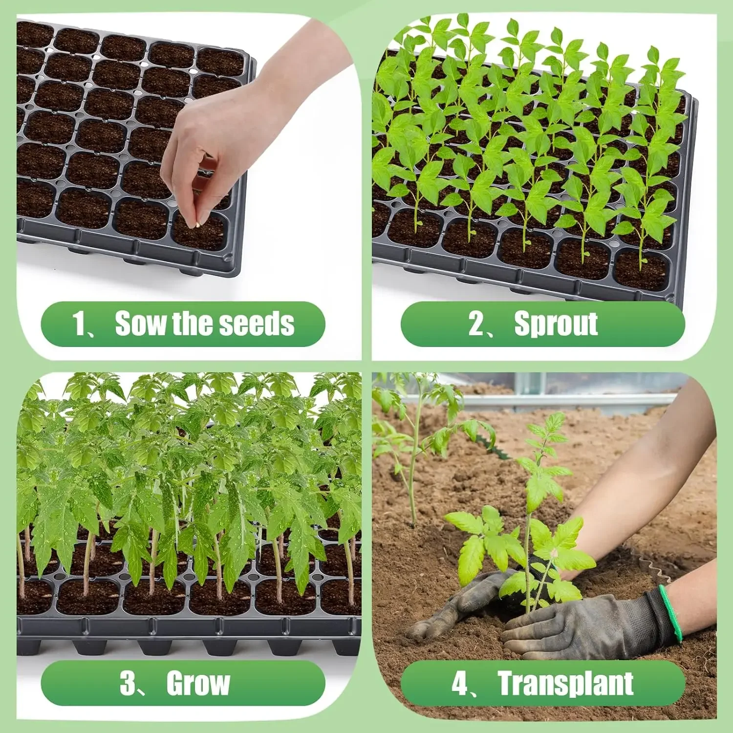 2024 Plastic Germination Seed Tray 98 Cells Seed Nursery Plant Germination Vegetables Flower Growing Tray Garden seedling tray