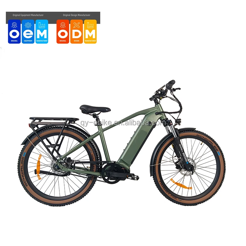 QUEENE Vintage 350W/500W  Gates Belt Drive Mid Drive Motor  Electric Road Bike Powerful Ebike