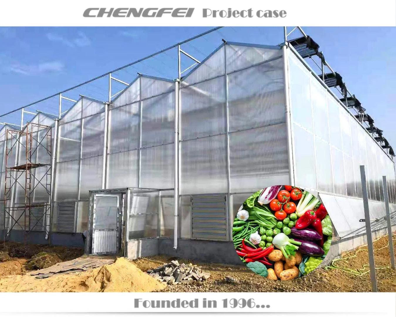 Agricultural large venlo multi-span polycarbonate sheet vegetable greenhouses supplier