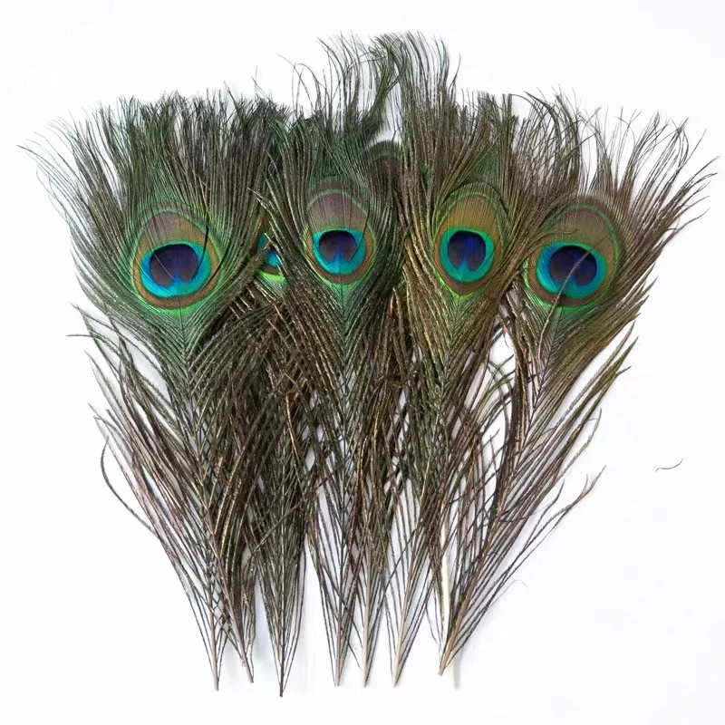 Supplier Wholesale Bulk  Peacock Feathers for Floral Arrangements Wedding Home Party Decoration