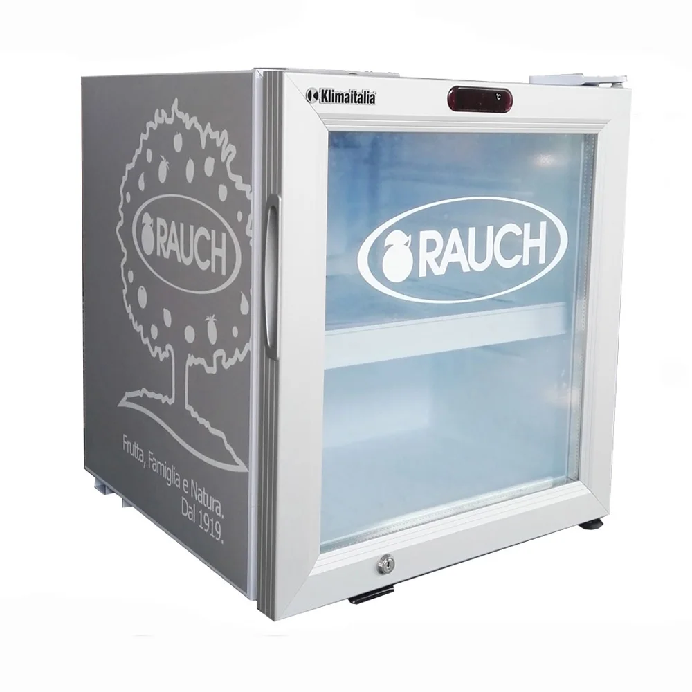 High Effect Cooling Low power Home Used Mini Compact Cooler Fridge with LED light