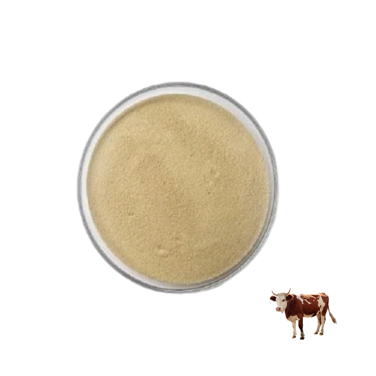 Wholesale Healthcare Supplement  Hydrolyzed Bovine Peptide collagen bovine bone collagen peptide