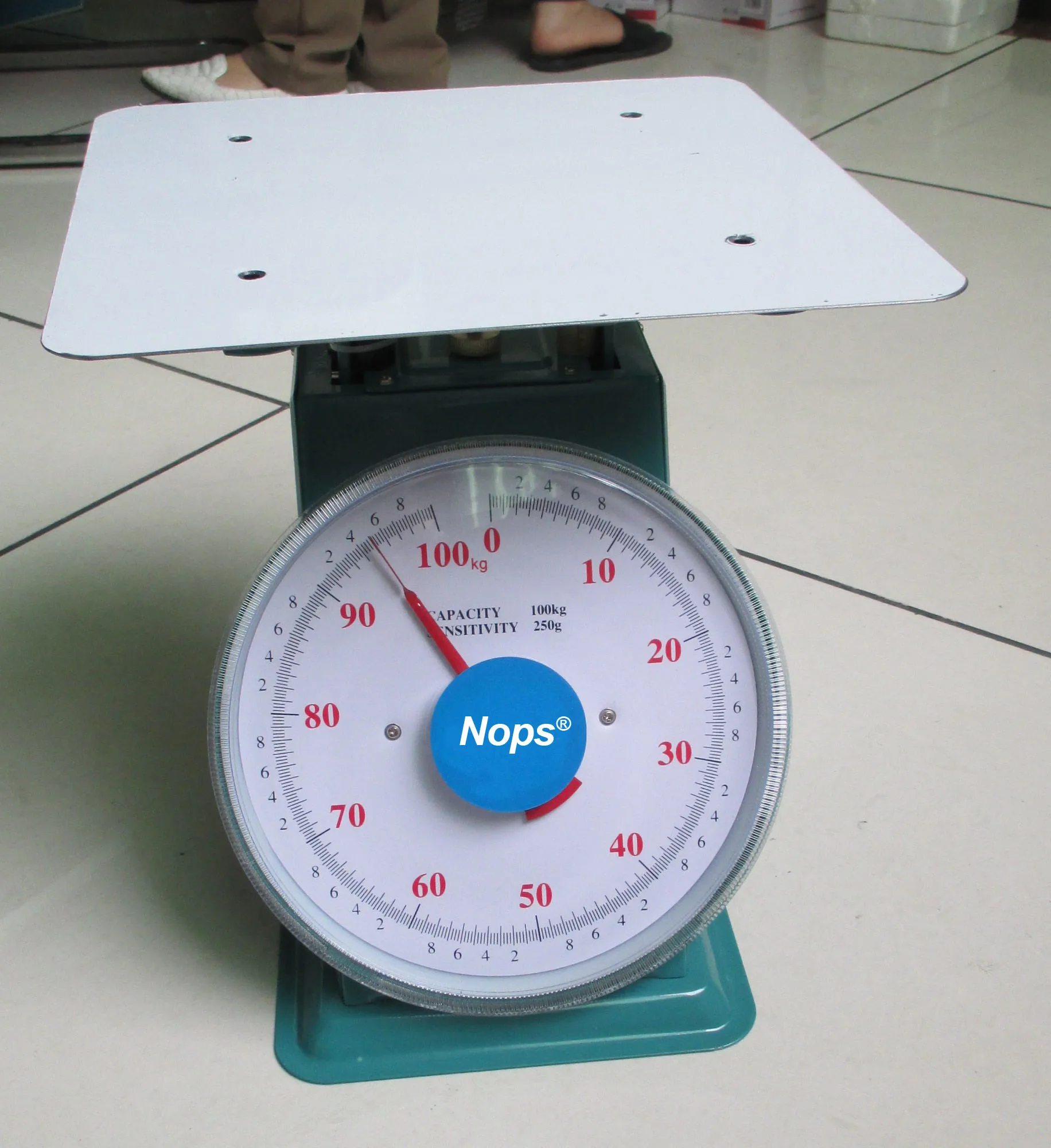 100kg  Spring  Weighing Scale with Ss Platform
