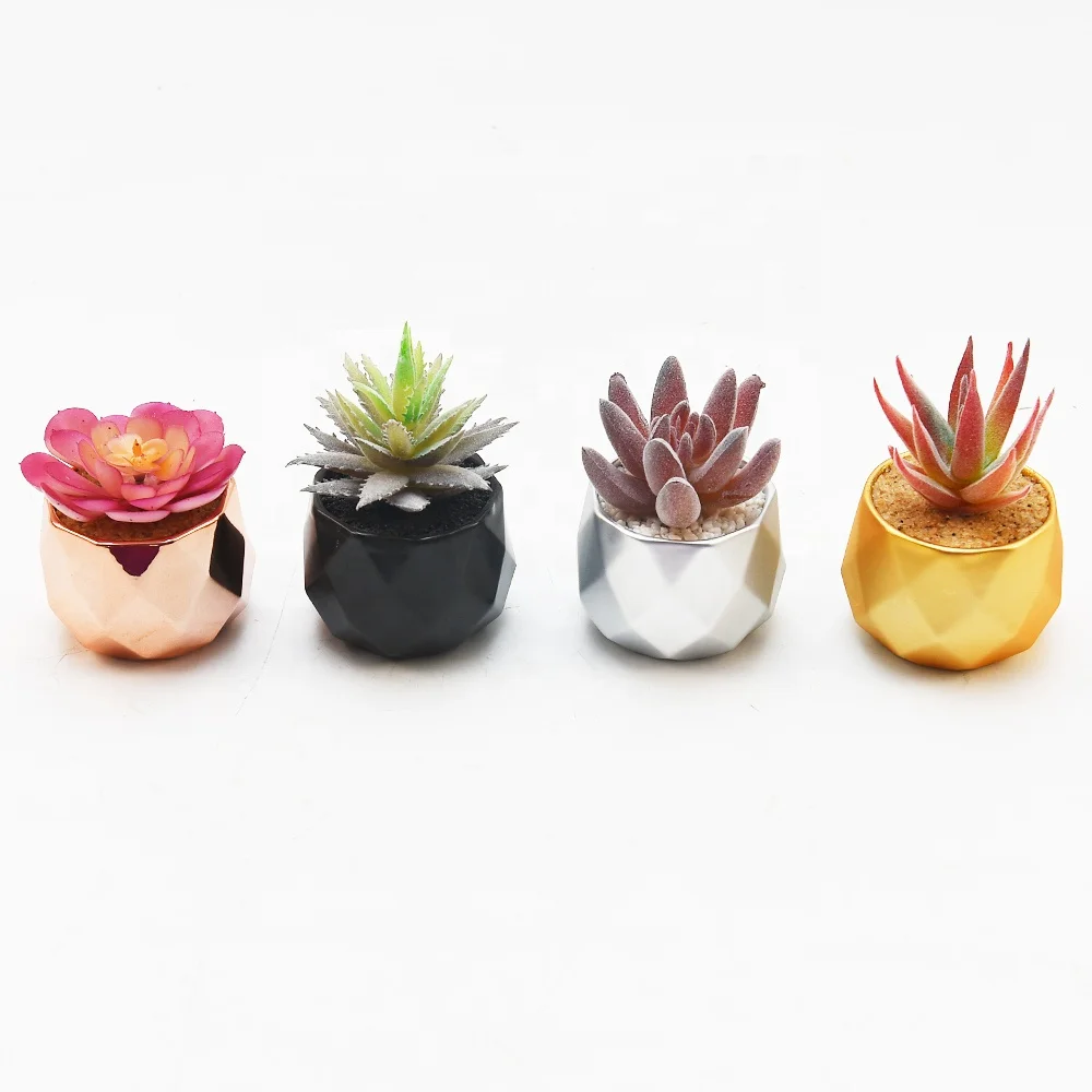 Artificial succulents for indoor tooth shaped succulent pot modern artificial plant decorated plastic flower succulents