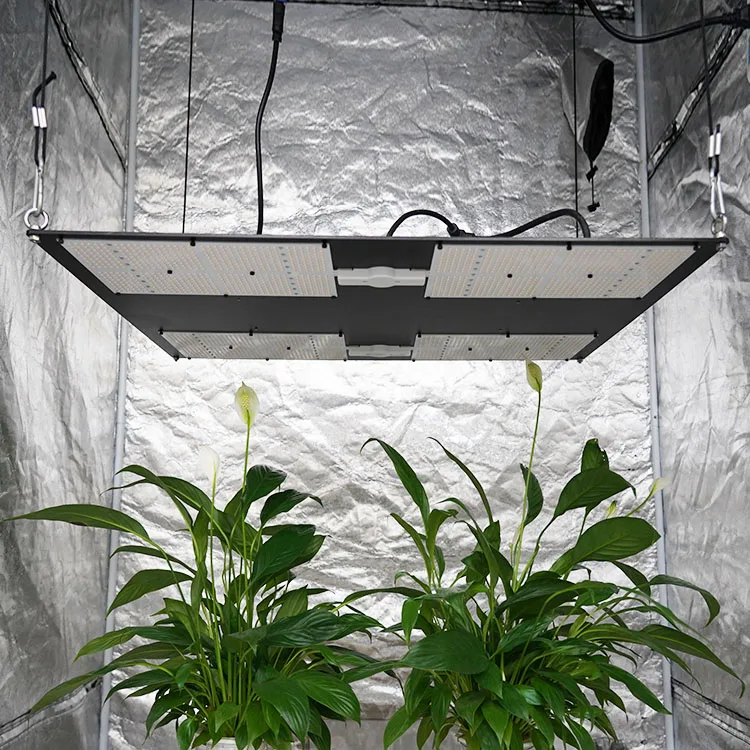  Fogrooo Q4 Qb648 2 9 j/mol 650W 666 шт. Samsung Lm301H Ir Cob Светодиодная доска для выращивания растений в