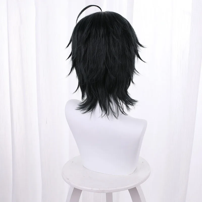 Ainizi wholesale 33cm character of The Conductor Asahina Takuto cosplay wig from takt op.Destiny