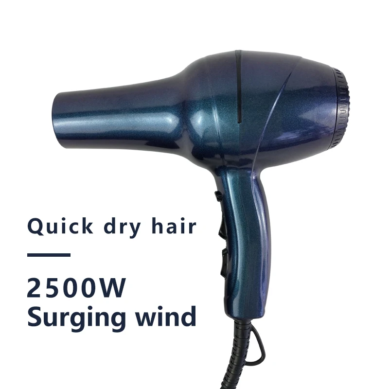 OEM Custom Logo Cold Hot Wind Blue Light Negative Ion Hairdryer Travel salon Hair Dryer