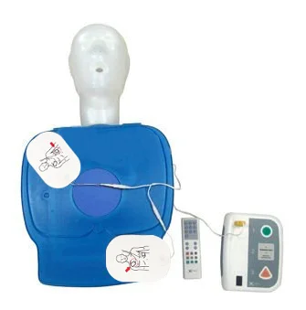 Electrode Pad Placement Defibrillator Adult First Aid Exercise Aed Training