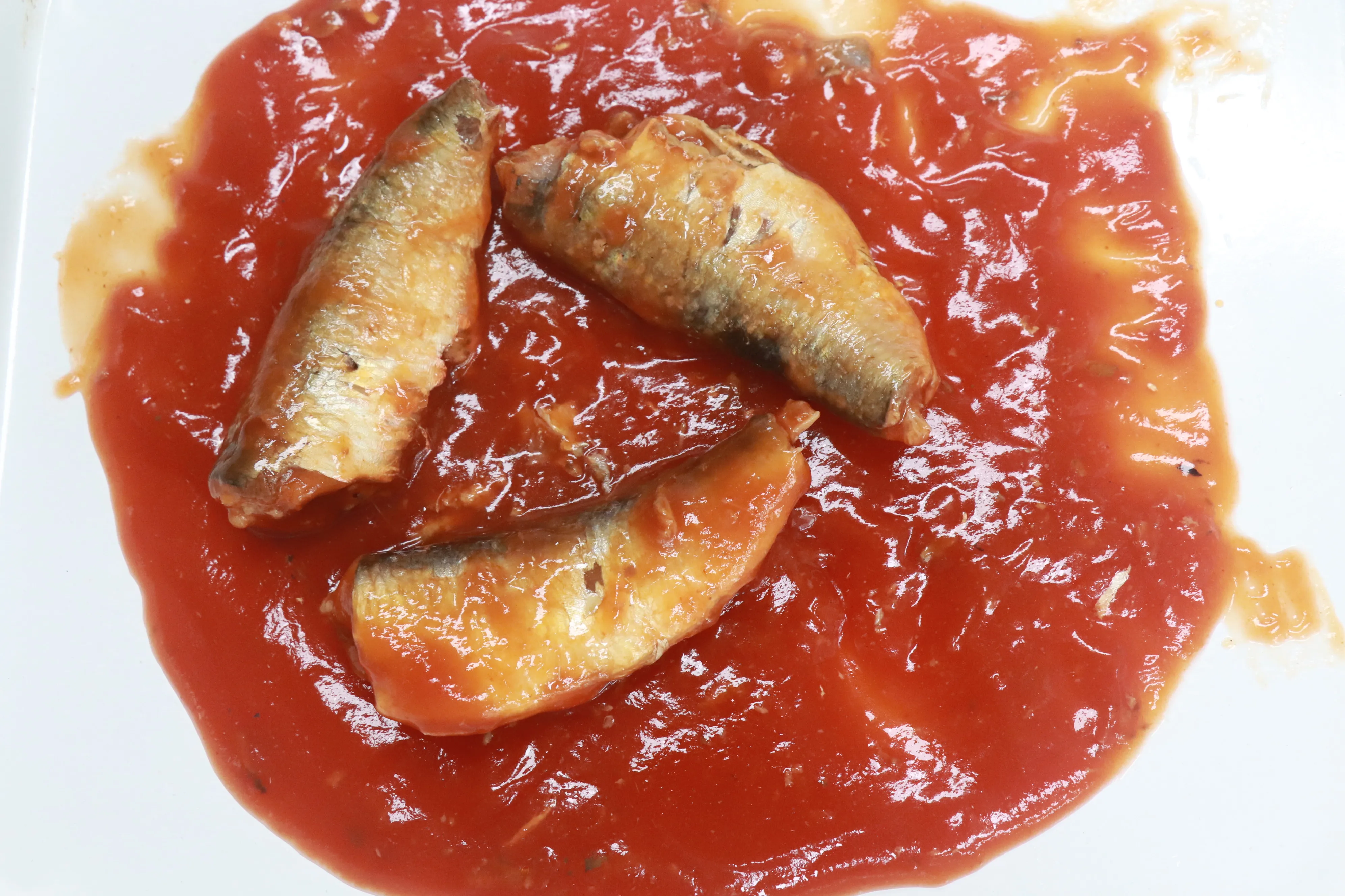 Factory price canned sardine in tomato sauce/canned sardine in tomato paste
