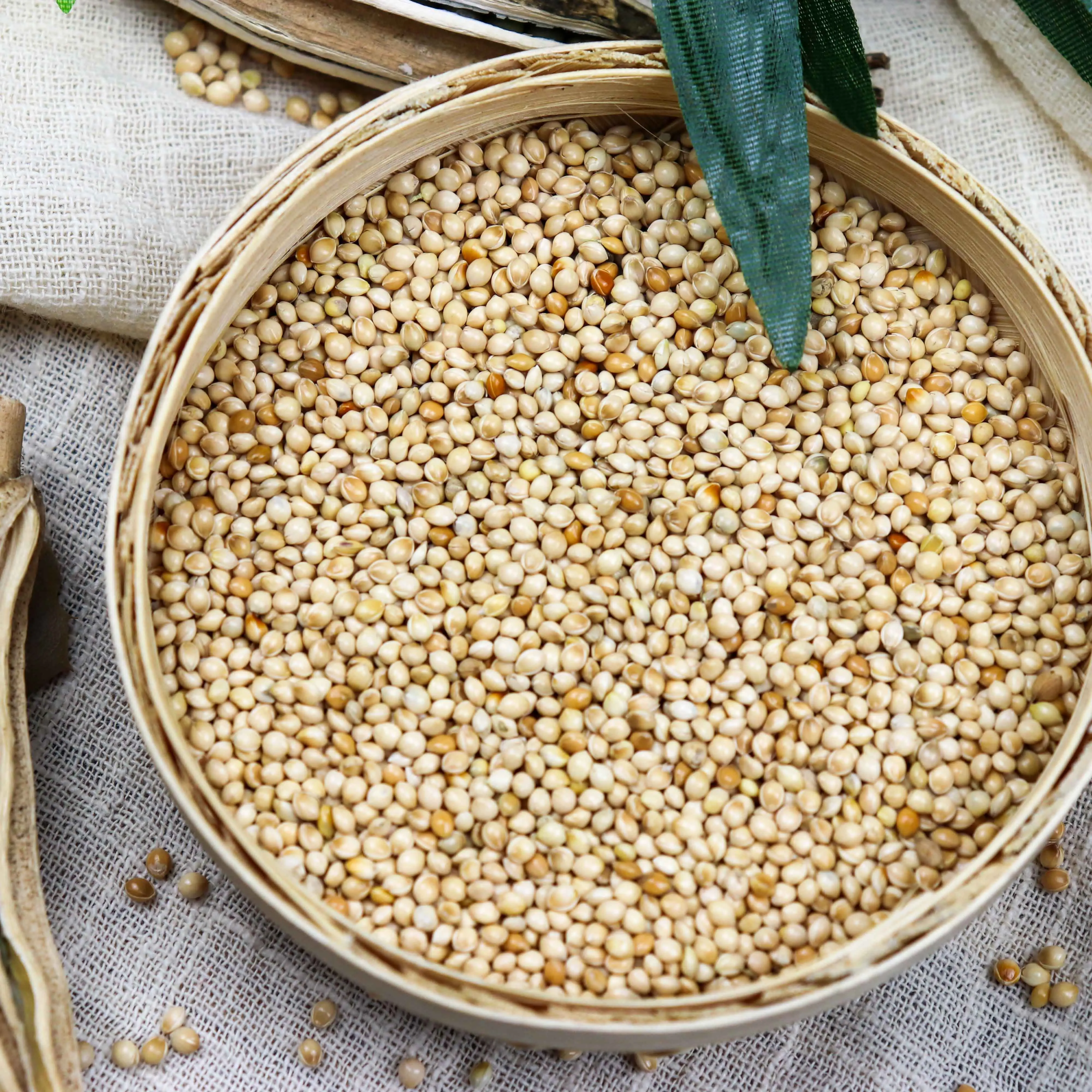 
Broomcorn Millet Eastern Asia White in Husk for Bird Feed Glutinous Floured Organic Dried AD 