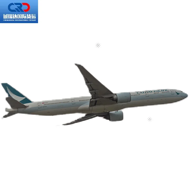 International Shipping Company DHL UPS Express Air Sea Freight Shipping Agent China to India Canada Mexico Germany Malaysia UAE