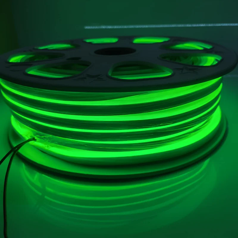 Factory customized 6Watt LED Neon Light Strips Silicone Flexible Decoration Lamp with PVC Body IP65 for Landscape Application