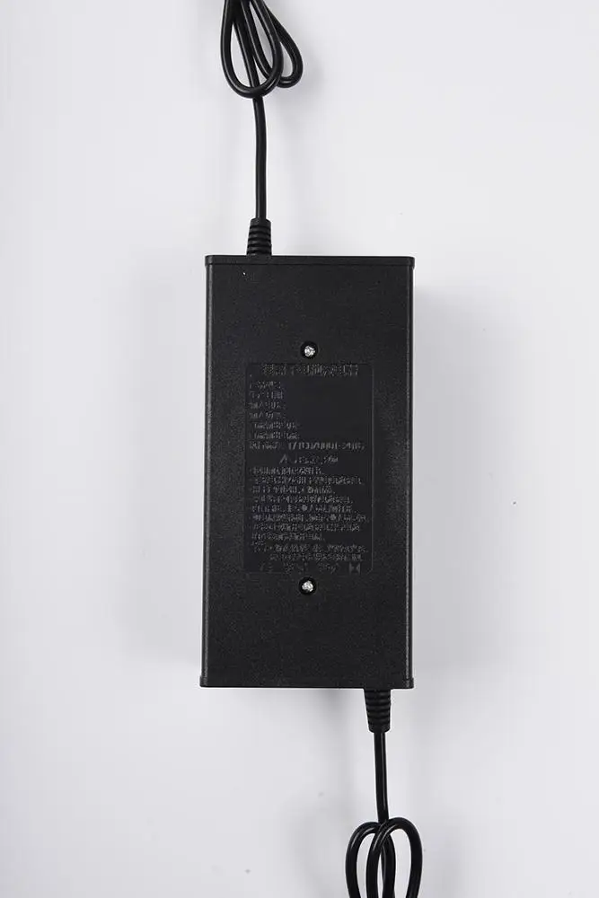  Последняя акция цена зарядное устройство для литиевой батареи 8S 24v