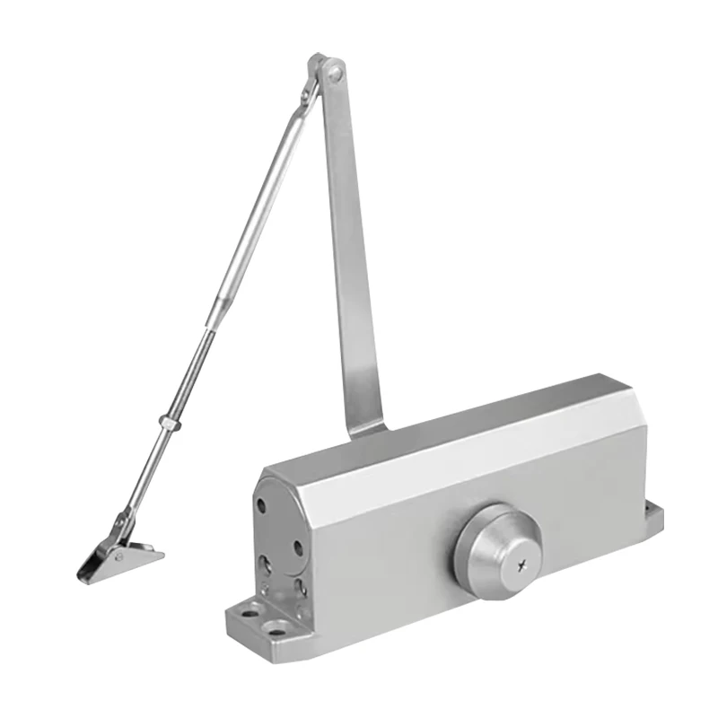 Hardware Door Accessories Automatic Heavy Duty Door Closure Catches Hinge Fire Proof Automatic Closer Auto Door Closer