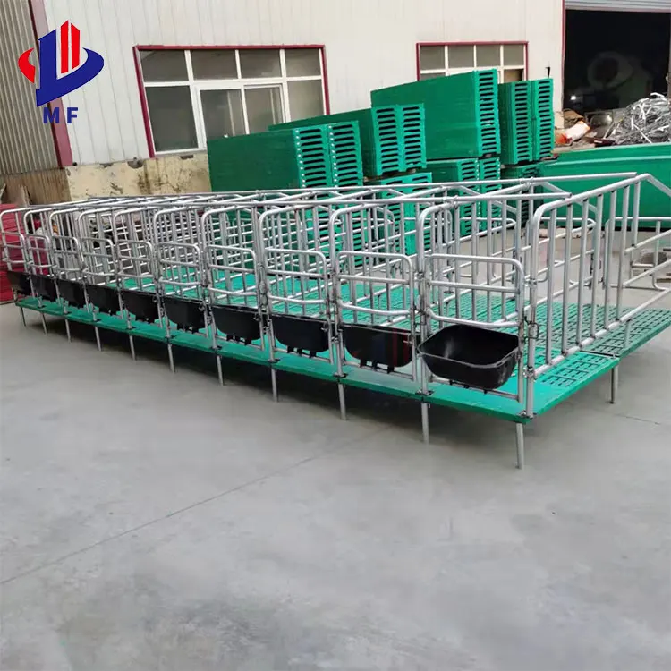 Ограничения по разведению свиней из оцинкованной стали популярные ручки для беременных свиноматок оцинкованные перила труб