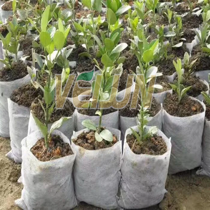 Biodegradable Non woven Fabrics Growing Plant Pot White Nursery Bag