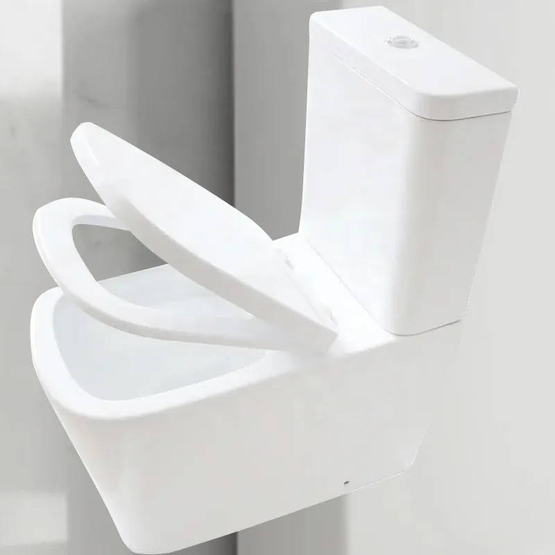 White lavatory toilette wc pan dual flush ceramic floor mounted sanitary ware luxury vanity washroom design toilet and shower