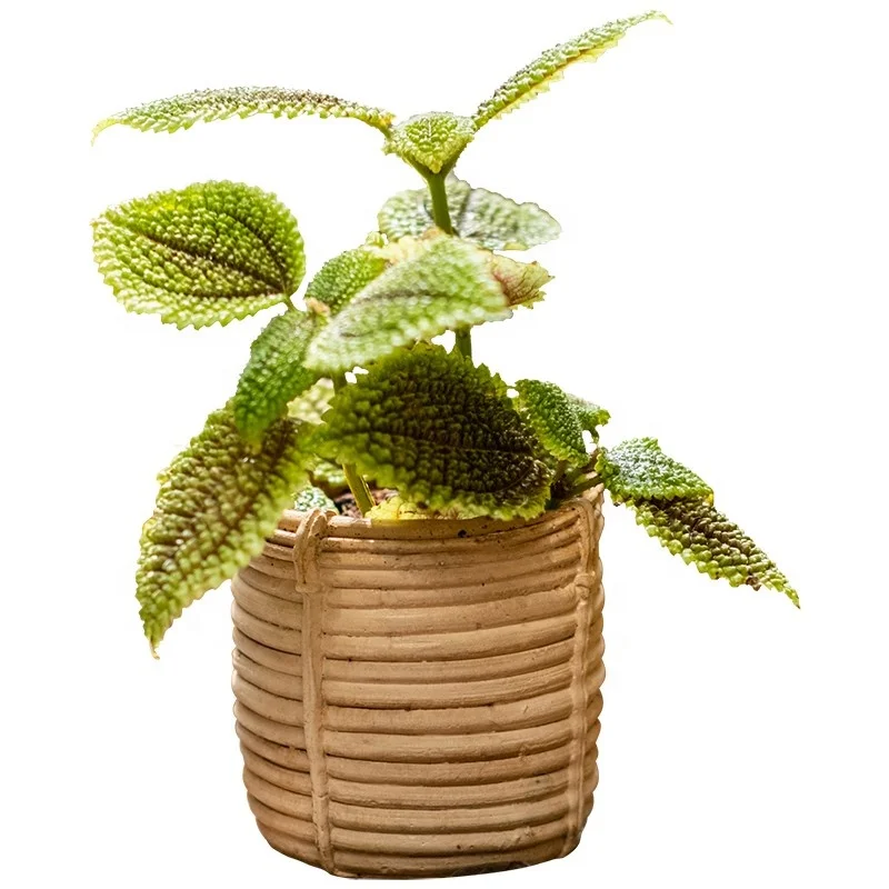 Simulation Rattan Cement Mini Flower Pots  Flower Ware Flesh and Meat Plants Creative Soil Cultivation Potted Plants Balcony