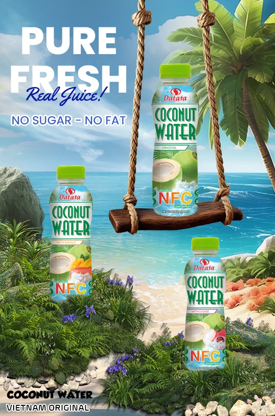 Coconut Drink Nfc Health Supplement Fruit Vegetable Juice Haccp Certification Customized Packaging No Sugar Vietnam