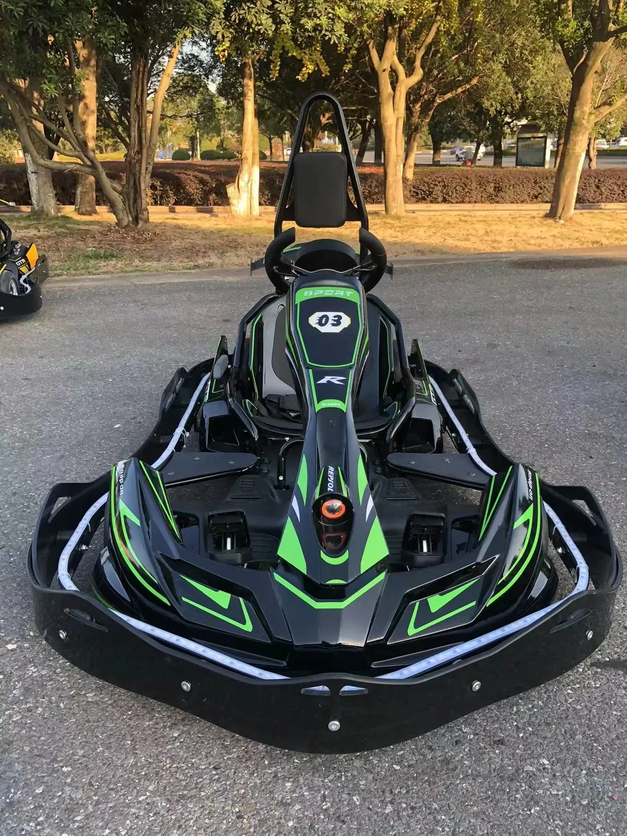 High-speed adult electric karts, professional playground equipment go karts for adults buggy go kart
