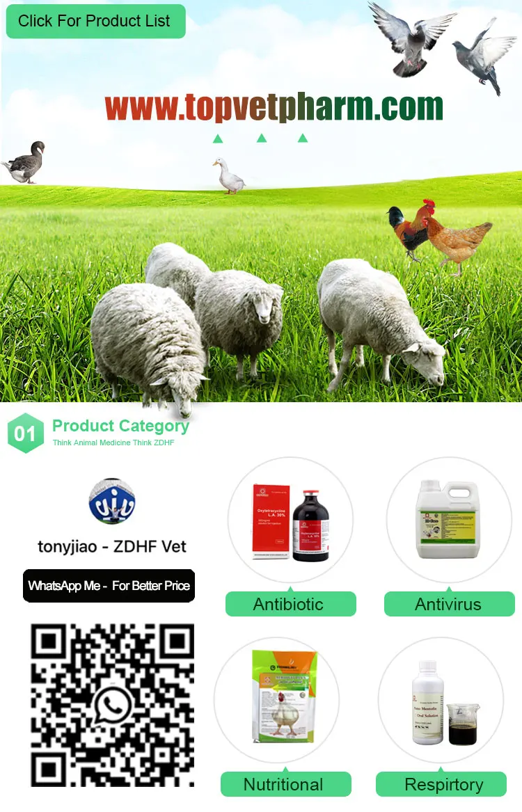 poultry medicine 