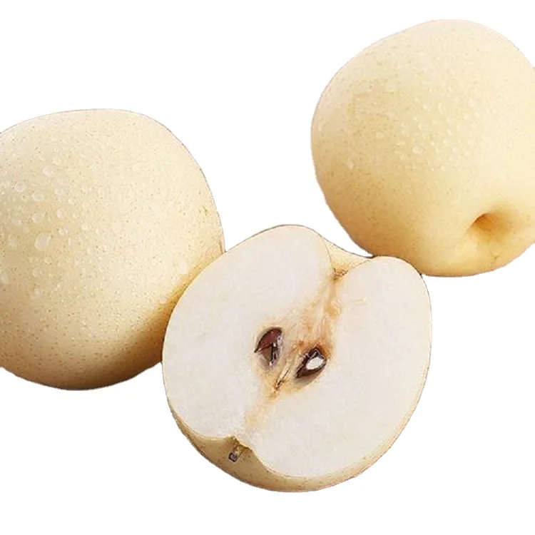 
hot sale fresh pear white pear with good quality 