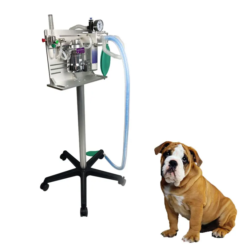 Vet Anesthesic Maquina De Anestesia Veterinaria Anasthesia Machine Veterinary Anesthesia Machine (1600447701743)