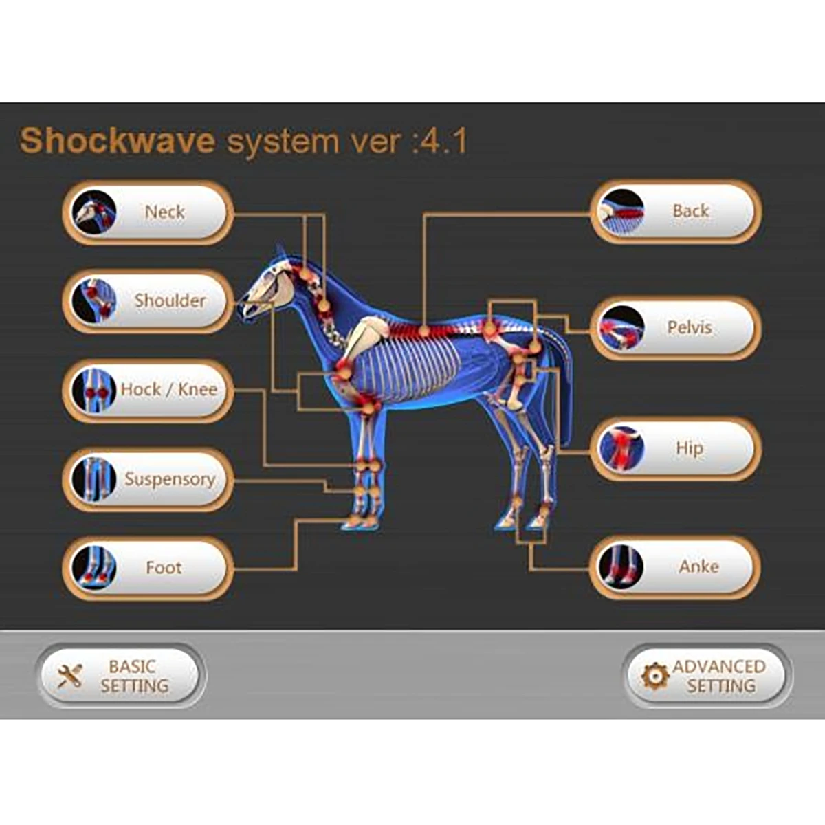 Hot selling vet electromagnetic shock wave horse for pain relief therapy