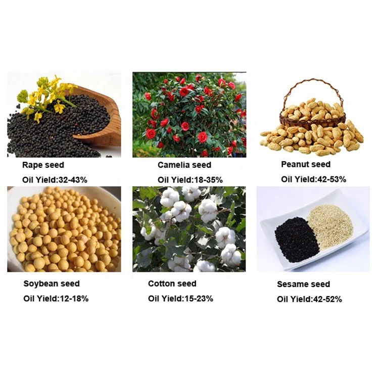 New Product Sunflower Mini Olive Argan Manual Sesame Oil Press Roaster Machine Gas Frying Pan