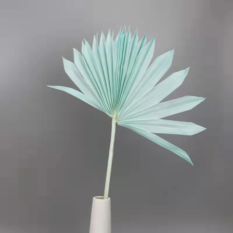 Wholesale high quality dried leaf flower wedding home decoration flower beauty good price dried palm leaves