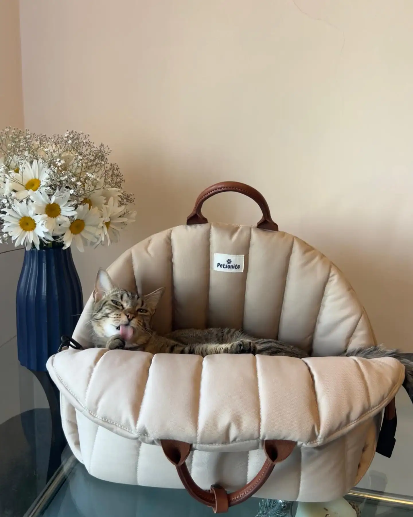 Manufacturer High Quality Dog Accessories Fashion Style Pet Carrying Bag Pet Cat Dog Carrying Booster Seat Pet Travel Bag