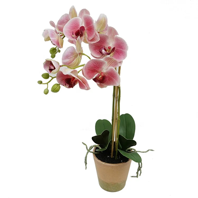 Best Selling Simulation Real Touch Butterfly Orchid Flower 56cm 3D Artificial Moth Orchid Flower With Pot For Office Home Decor
