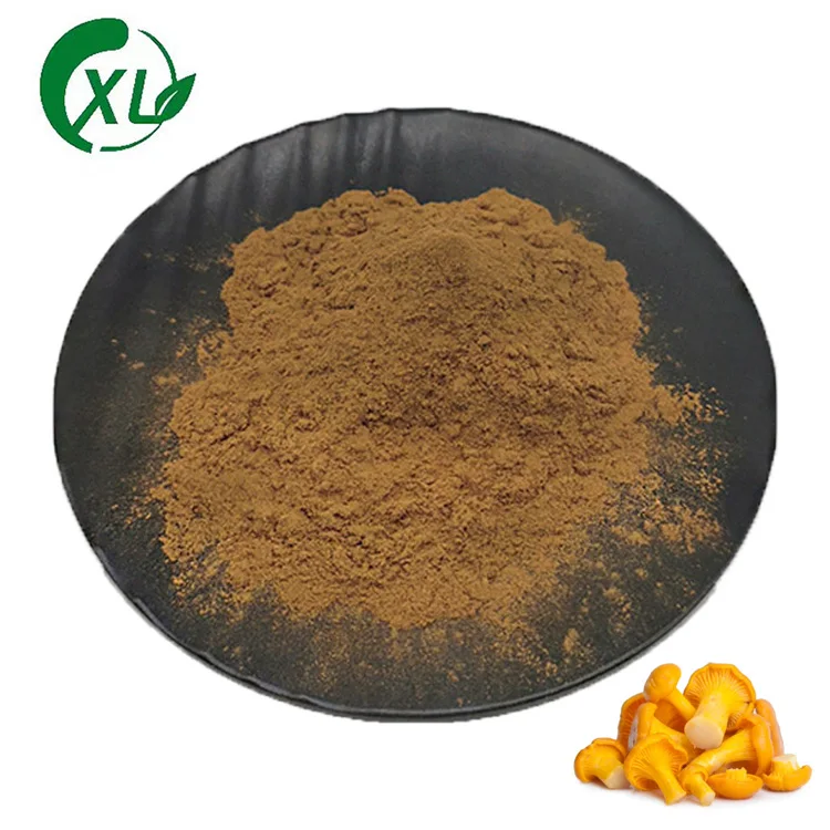 Wholesale Chanterelle Mushroom Powder Organic Chanterelle Mushroom Extract Powder